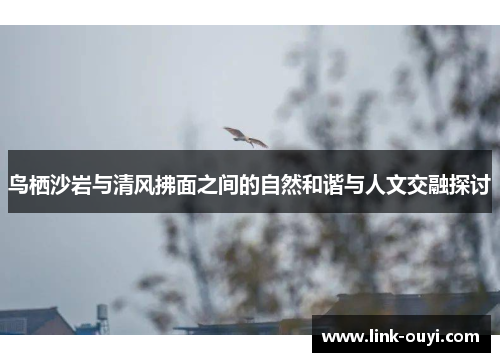 鸟栖沙岩与清风拂面之间的自然和谐与人文交融探讨